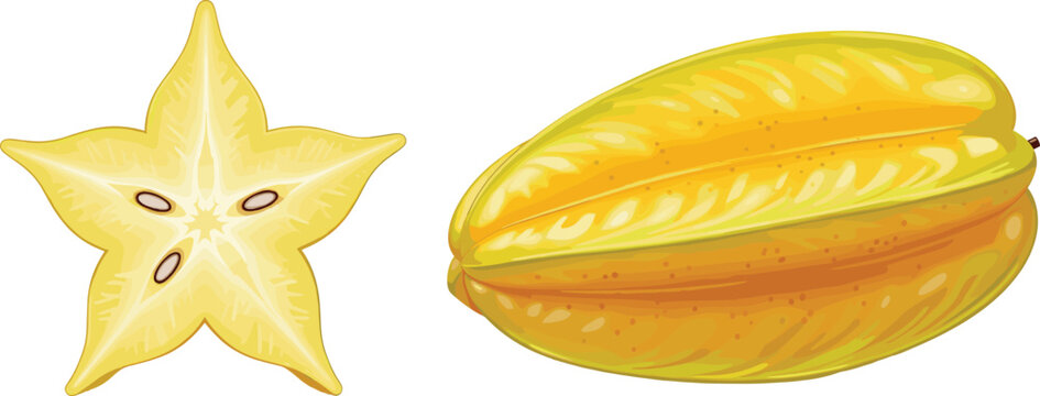 Starfruit whole and sliced vector illustration isolated on white background for tropical fruit, healthy food and nutrition designs