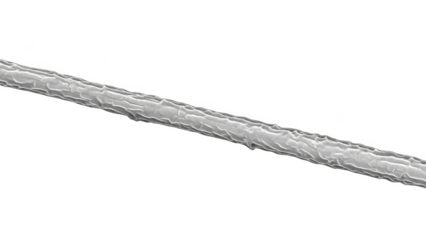 Close up of a single human hair strand showing cuticle scales under magnification png isolated transparent background