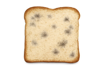 Moldy bread slice with green fungus, showing food spoilage and contamination. Transparent background, top view