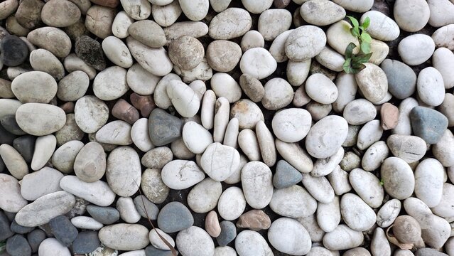 pebbles on the beach