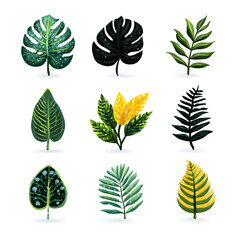  Set of diverse tropical foliage, green and yellow botanical leaves on white background