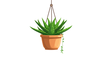 An illustrated green succulent plant in a hanging terracotta pot against a stark black background.  A small vine spills out