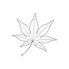 Obraz premium Japanese Maple Leaf Line Art Illustration for Autumn and Nature Themed Designs