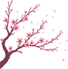 Delicate pink cherry blossoms bloom on dark branches with falling petals