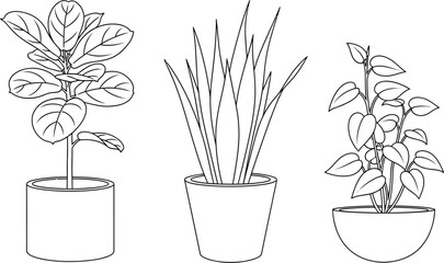 Collection of three distinct potted houseplant line art illustrations featuring a large leaf variety a tall slender variety and a cascading vine perfect for coloring books or botanical design projects