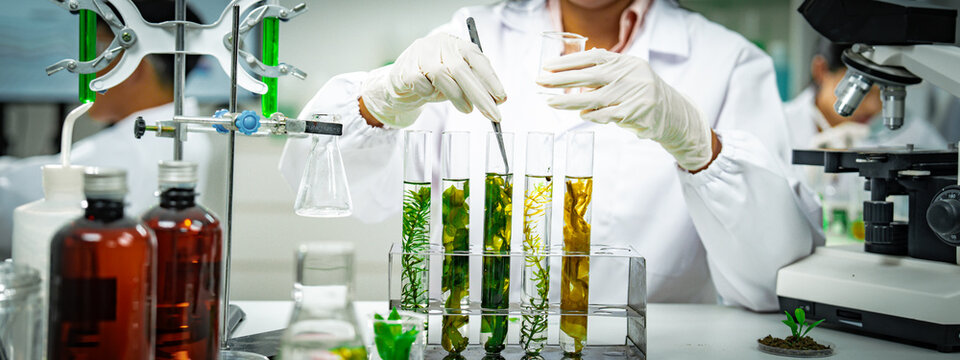 Female scientist conducting algae biotechnology research in a modern laboratory, analyzing green biological samples for sustainable energy, environmental innovation, and renewable bioresource develop.