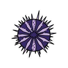 Stylized Sea Urchin Illustration with Spikes and Radial Pattern.