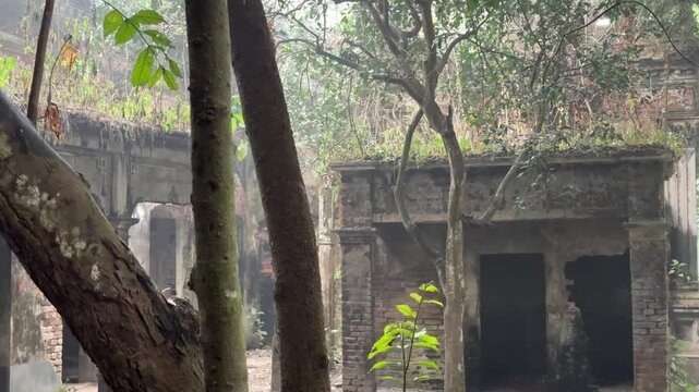 Exploring Hemnagar Jamidar Bari | Lost Heritage of Bengal