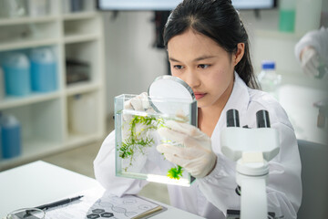Female scientist examining algae samples in modern laboratory using magnifying glass, conducting biological research for sustainable innovation, renewable energy, and environmental science development