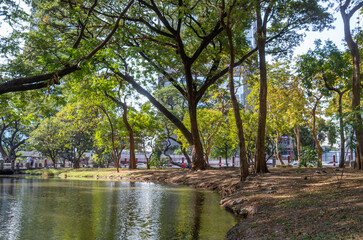 Beautiful nature at morning with sun in big city park