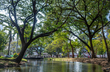 Beautiful nature at morning with sun in big city park