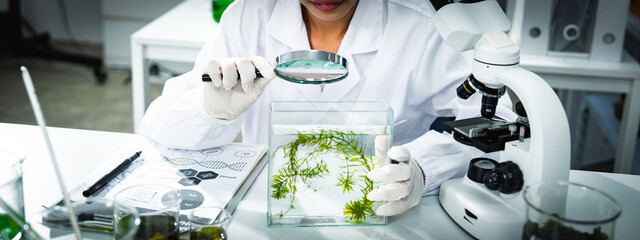Female scientist examining algae samples in modern laboratory using magnifying glass, conducting biological research for sustainable innovation, renewable energy, and environmental science development