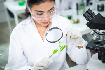Scientist examining plant samples with magnifying glass in modern laboratory, focusing on plant biology, sustainability , environmental conservation, and innovative eco-friendly scientific solutions.