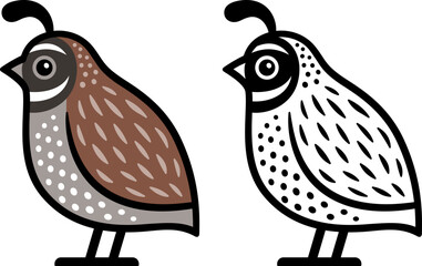 Male California quail, color and black and white logo. Cute and simple vector clip art illustration.