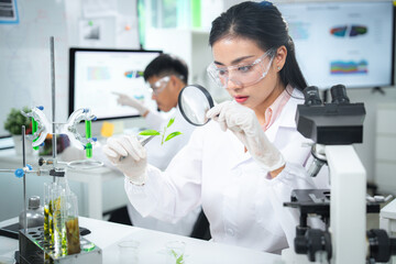 Scientist examining plant samples with magnifying glass in modern laboratory, focusing on plant biology, sustainability , environmental conservation, and innovative eco-friendly scientific solutions.
