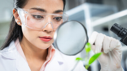 Scientist examining plant samples with magnifying glass in modern laboratory, focusing on plant biology, sustainability , environmental conservation, and innovative eco-friendly scientific solutions.