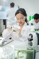 Scientist examining plant samples with magnifying glass in modern laboratory, focusing on plant biology, sustainability , environmental conservation, and innovative eco-friendly scientific solutions.