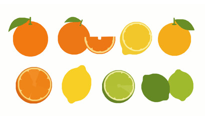 Citrus fruit vector set with oranges lemons grapefruits and limes isolated on white background