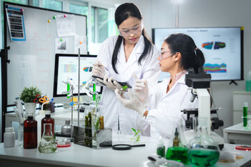 Scientists collaborating on plant research in a modern laboratory, analyzing samples and data for sustainability science, environmental innovation, teamwork, and eco-friendly supporting a sustainable.