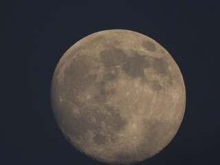 night half moon landscape Photograph