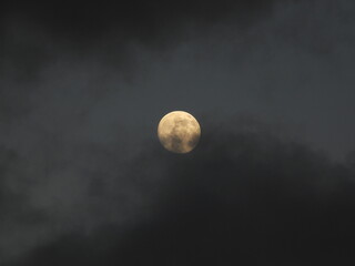 night half moon landscape Photograph