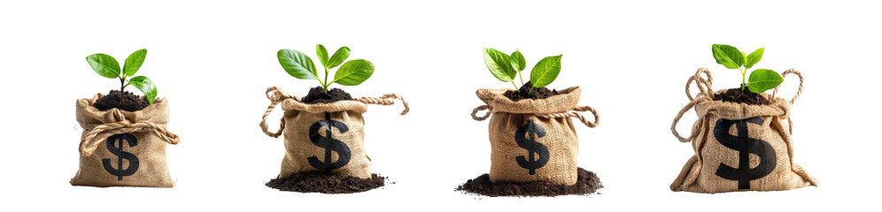 Fototapeta premium Four small plants growing from money bags made of burlap symbolizing financial growth on transparent background