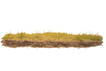 Cross-section of ground with green grass and brown soil, showing layers of earth, transparent background
