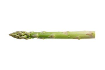 Fresh asparagus spear with water droplets isolated on a pale olive-green surface for food concepts