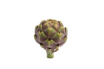 Fototapeta premium Fresh artichoke bud isolated, depicting culinary, healthy eating and natural produce themes