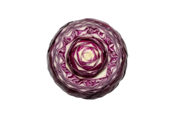Intricate radial pattern of a halved red cabbage revealing its vibrant purple hues and layered