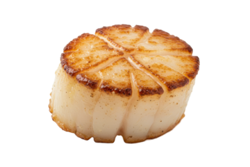 Perfectly seared succulent scallop with beautiful grill marks on a warm gradient background