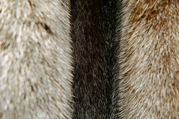 strips of natural mink fur and dyed fur of different color