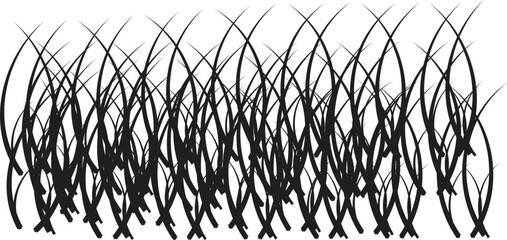 "Minimalist nature background featuring dark grass silhouettes; moody and somber landscape for clean graphic design."