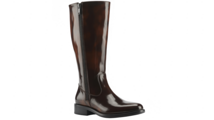 Shiny dark brown leather knee boots footwear isolated on a transparent background