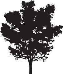 Fototapeta premium tree Page illustration