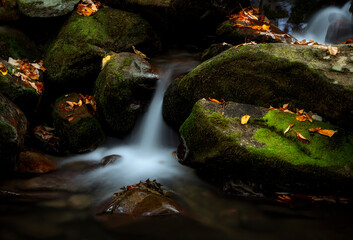 Photos taken in the Great Smoky Mountains National Park on a beautiful and sunny autumn day.