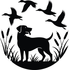 Vector silhouette of a proud black Labrador retriever hunting dog standing in marsh reeds with flying wild ducks, symbolizing outdoor sport and retrieval.