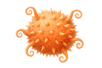 Microorganism or microbe virus concept with spikes and tentacles on a transparent background