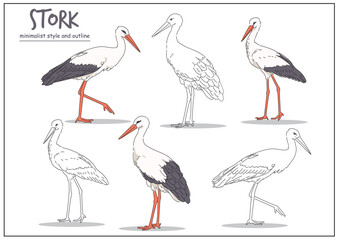 Obraz premium Illustration of a stork represented in multiple poses with clear outlines, highlighting its distinctive features and elegant stance. Animal design concept