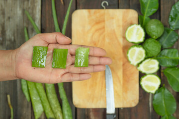 Women are preparing aloe vera and kaffir lime, pure natural ingredients, for use in skin and hair care products.
