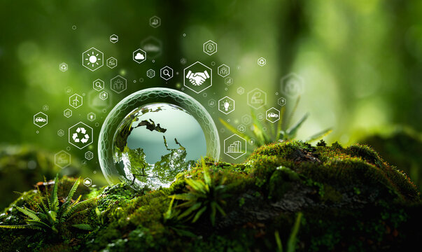ESG and carbon credit concept in green ecosystem
