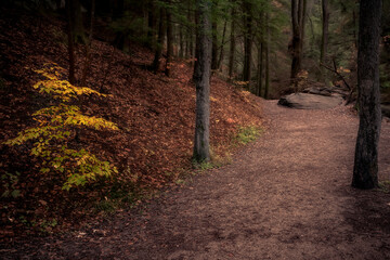 Morning hiking in Hocking Hills Ohio State Park