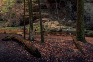 Morning hiking in Hocking Hills Ohio State Park