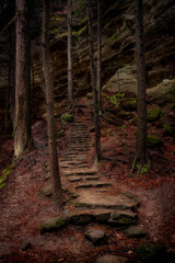 Morning hiking in Hocking Hills Ohio State Park
