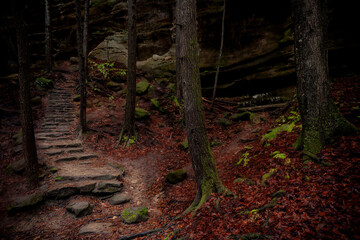 Morning hiking in Hocking Hills Ohio State Park