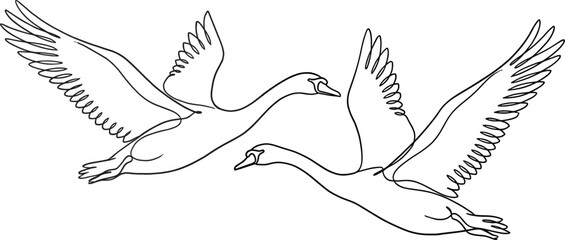 Continuous one line drawing of two elegant swans flying in the sky in minimalist black and white modern vector style © Itz Joydip