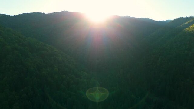 Cinematic Aerial Flight Directly into the Sun over Rolling Beech Fagus sylvatica Forest Hills with Dramatic Lens Flare and Halo