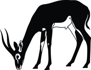 Grazing horned animal silhouette isolated black