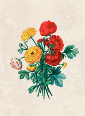 Handmade botanical flower illustration, natural plant art isolated on rustic beige background, decorative floral print.