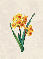 Handmade botanical flower illustration, natural plant art isolated on rustic beige background, decorative floral print.